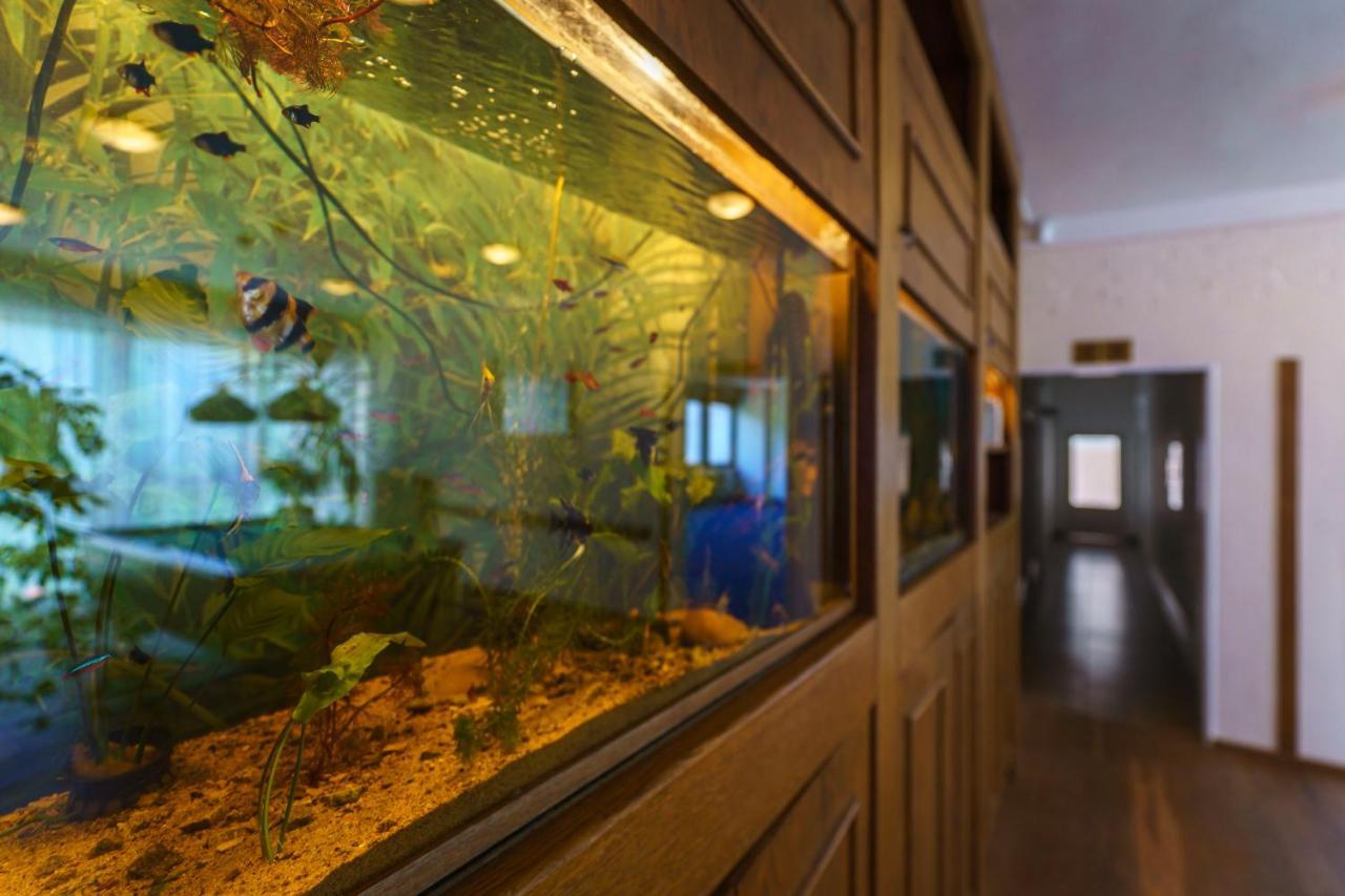 Hotel Hladina Nebrich Zewnętrze zdjęcie